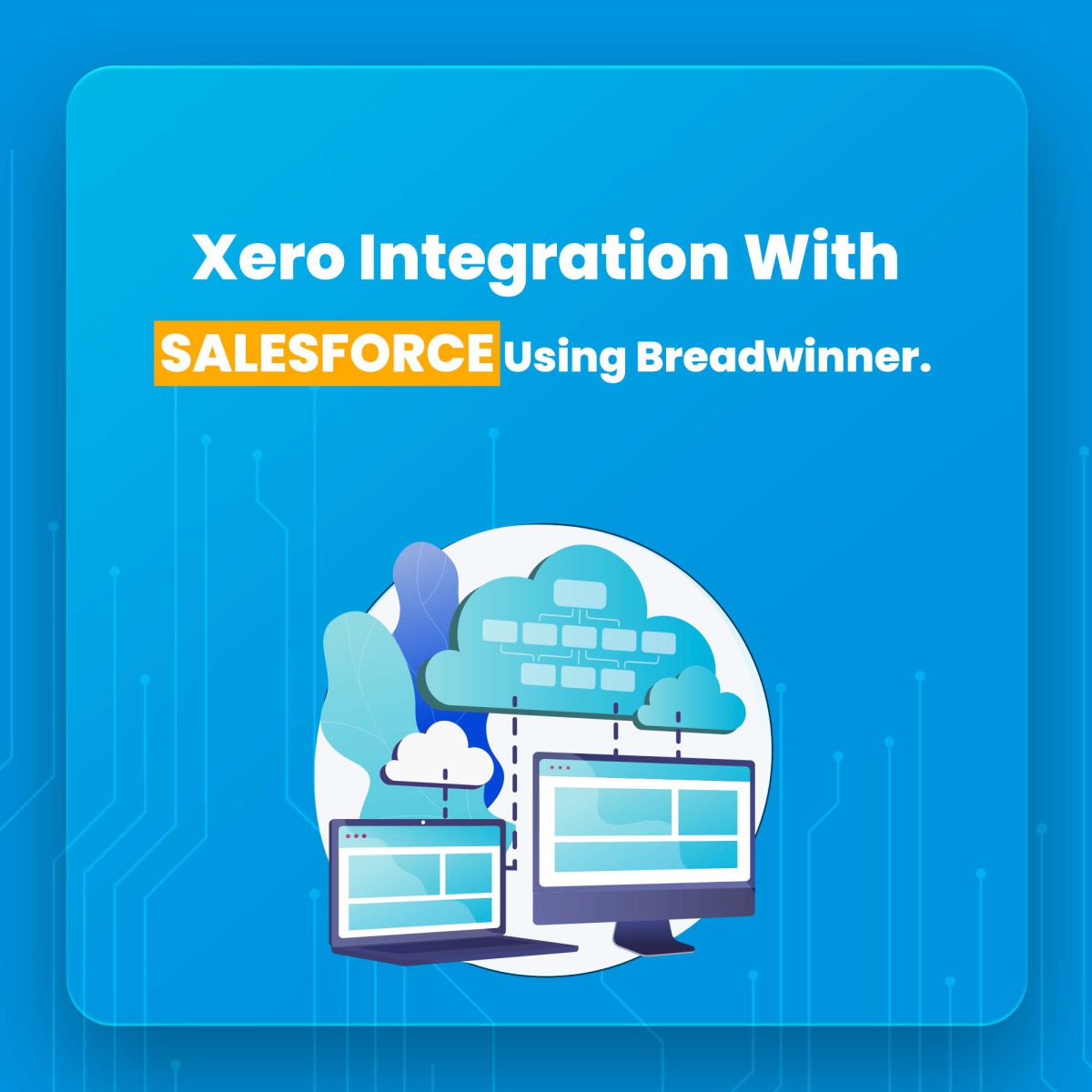 Xero Integration With Salesforce Using Breadwinner