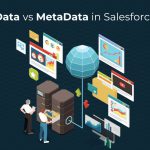 Data vs MetaData in Salesforce - Sweet Potato Tec
