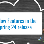 Flow Features in the Spring 24 release