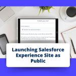 Launching Salesforce Experience Site as Public